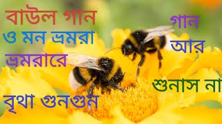 বাউল গানও মন ভ্রমরা ভ্রমরারে বৃথা গুনগুন গান আর শোনাস নাBaul song o mon bhromora bhromora re [upl. by Ylirama]