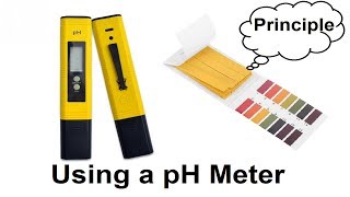 PH measurement Tools and Principle [upl. by Luas]