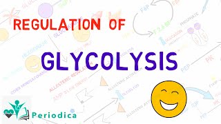 Regulation of glycolysis [upl. by Animehliw164]