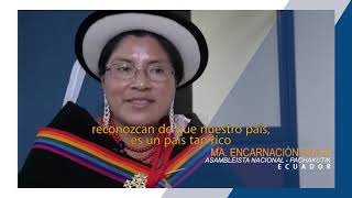 Diversidad étnica y cultural en América Latina [upl. by Elocel672]