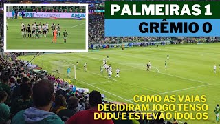 Vlog assistindo Palmeiras 1x0 GrêmioJogo tenso vaias defesas milagrosas e gol do Estevão salvador [upl. by Rachelle]