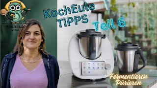 Tipps zum Thermomix  Wusstest du schon dass Teil 6  Pürieren amp Fermentieren  TM6 ♥️ 𝑲𝒐𝒄𝒉𝑬𝒖𝒍𝒆 [upl. by Jablon499]