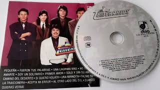 Los Temerarios  Fueron tus palabras audio HQ HD [upl. by Jewett811]