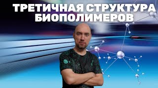 Что такое третичная структура биополимеров Душкин объяснит [upl. by Penland223]