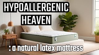 🛌🏻 Mattress Allergies and Irritants Solution Organic Latex Mattress Hypoallergenic 😴 💤 [upl. by Miahc]