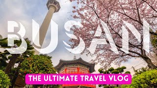 The Only Busan Travel Guide Youll Ever Need 50 Unforgettable Experiences [upl. by Uella434]