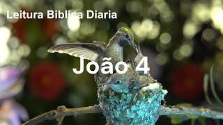 João 4 ‐ A Mulher Samaritana [upl. by Aicittel411]