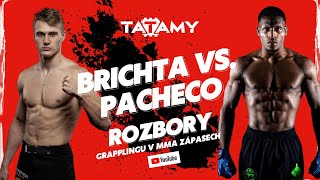 Brichta vs Pacheco  RFA x IAF 2  rozbor grapplingu [upl. by Nikolaus]