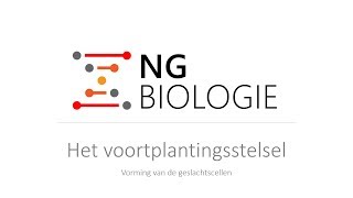 Het voortplantingsstelsel  vorming van de geslachtscellen  HAVOVWO [upl. by Banerjee]