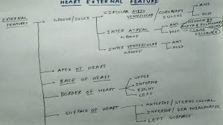 Heart External Features  1 Theory Chart  TCML  Dr Pawan nagar [upl. by Arnaldo]