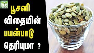 pumpkin seeds health benefits  Tamil Health Tips [upl. by Yreved]