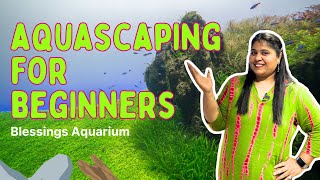 Simple Aquascaping for Beginners  Aquascaping Ideas  Planted Aquarium  Blessings Aquarium fish [upl. by Zippel992]