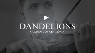 Dandelions  Violino Solo Thiago Rosa Violino [upl. by Greenburg]