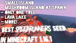 BEST Seed for Speedrunners in minecraft 1161 Small Island seed Without ANY mods [upl. by Weiner]