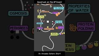 Amoeba Sisters AP Bio Test Pep Talk apbio apbiology [upl. by Hsiekal709]