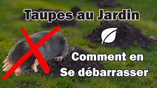 Comment se Débarrasser des Taupes au Jardin [upl. by Aerdma]