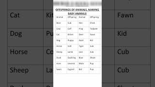 Naming Baby Animals Offspring of Animals English Vocabulary [upl. by Noir]