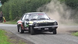 Rally Boucles Chevrotines 2014 [upl. by Erehs]