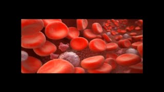 Building Your Hemoglobin Level Without Blood [upl. by Oinesra]