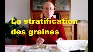 La stratification des graines [upl. by Aratehs]