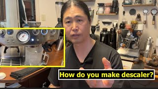 Descaling with quotHomemadequot Descaler  Breville BES 870 Espresso Machine [upl. by Nodarb]