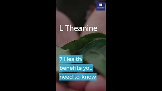 L Theanine 7 Health benefits [upl. by Ja744]