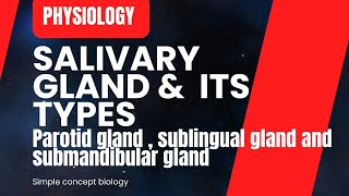 salivary glands  Anatomy and Physiology [upl. by Gilberte]