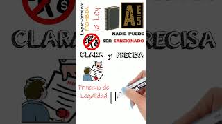 datazoderecho Principio de Legalidad [upl. by Dylana115]