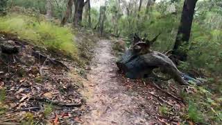 Day 6 Bugiga camp to Barri Yalug camp along the Grampians Peaks Trail [upl. by Kcirrez]