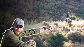 Chasing Arizona’s GIANT Muleys [upl. by Annairda534]