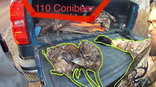 Muskrat Trapping With 110 Conibears Multiple Catches [upl. by Todd53]