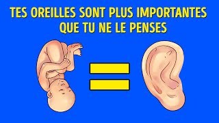 Ce Que Tes Oreilles Révèlent Sur Toi [upl. by Elamaj441]