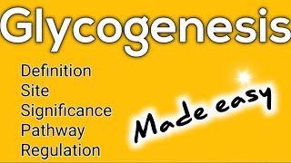 Glycogenesis made easy Definition ll Site ll Pathway ll Significance ll Regulation [upl. by Nnad]