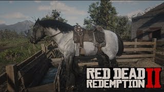 RED DEAD REDEMPTION II  COMO CONSEGUIR EL CABALLO DE GUERRA [upl. by Marchall]