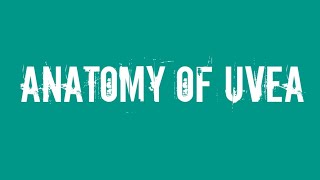 Ophthalmology Anatomy of uvea [upl. by Kettie612]