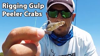 How to Rig Gulp Peeler Crabs For Redfish amp Black Drum [upl. by Winchell]