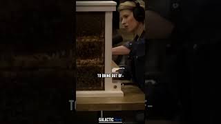 Erika Thompson Shows A Real Bee Hive To Joe Rogan  joerogan jre joeroganexpereince bee bees [upl. by Ahsimat]