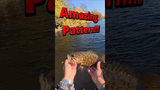 Milwaukee RIVER Smallie [upl. by Nivlac]