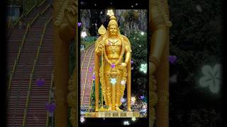 💥✨Arupadai veedu🙏🙏 lordmurugan [upl. by Ahsema]