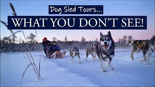 Dog Sled Tours  WHAT YOU DONT SEE Life behind [upl. by Niatsirt]