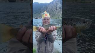 Fishing At Georgetown Lake In Georgetown Colorado Beautiful Brown Trout fishing shorts world [upl. by Trey]