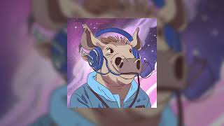 Warthog Whispers Lofi Chronicles [upl. by Oilasor]