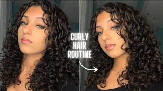 MY CURLY HAIR ROUTINE 2022  In Depth Tutorial for Beginners [upl. by Anowahs]