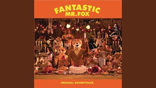 How Wes Anderson Made Fantastic Mr Fox [upl. by Alim199]