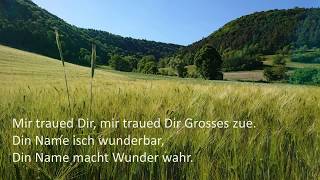 Mir traued dir  Wunderbar [upl. by Deehahs]