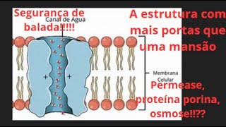 Aula 7  Biologia  Permeabilidade Seletiva Transporte Passivo enem vestibular biologia [upl. by Aivatco]