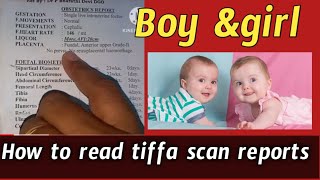 how to read tiffa scan reports in teluguboy baby ampgirl baby scan reports in telugu pregnancyscan [upl. by Yniatirb]