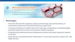 Analyzing antibody sequence for recombinant antibody expression [upl. by Jeanne]