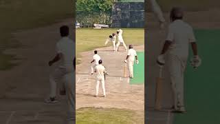 cricket cricketfan cricketlover [upl. by Eastlake]