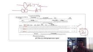 Cloning of heterologous protein in the bacterial system through pET28 series Vectors [upl. by Yenaffit]